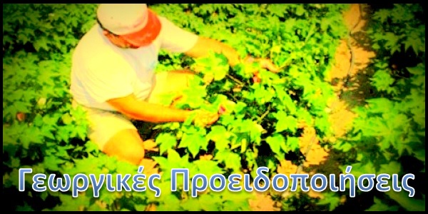 georgikes proeidopoiiseis