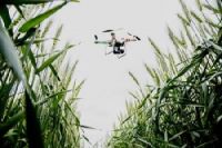 University of Illinois: Drones give farmers an eye in the sky to check on crop progress